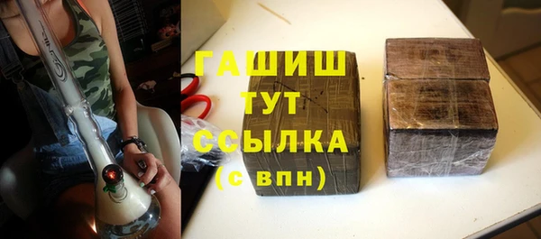 СК Ельня
