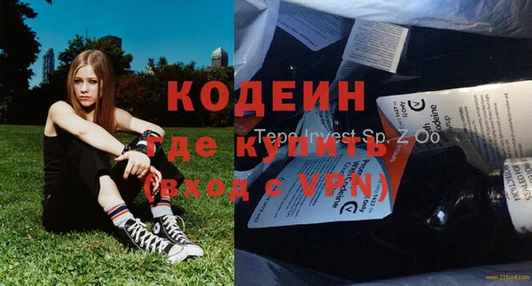 СК Ельня