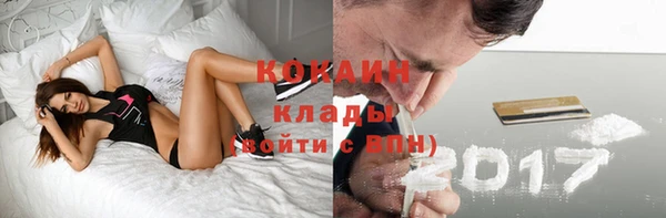 СК Ельня