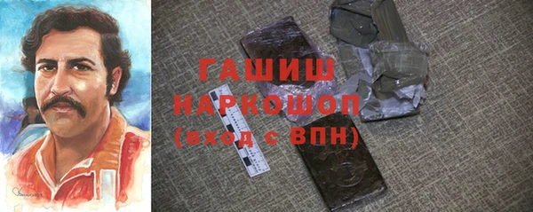 СК Ельня