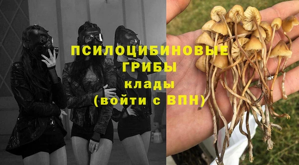 гидропоника Елабуга