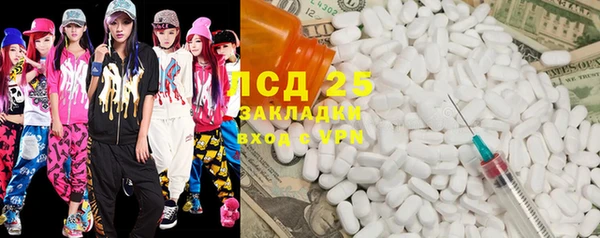 гидропоника Елабуга