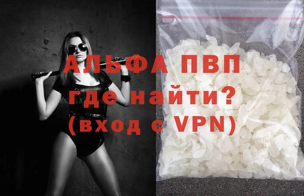 СК Ельня