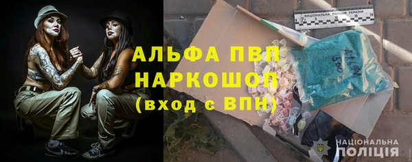 СК Ельня