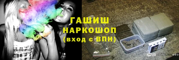СК Ельня