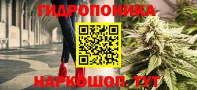 ALPHA PVP Будённовск