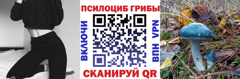Галлюциногенные грибы мухоморы  Норильск 