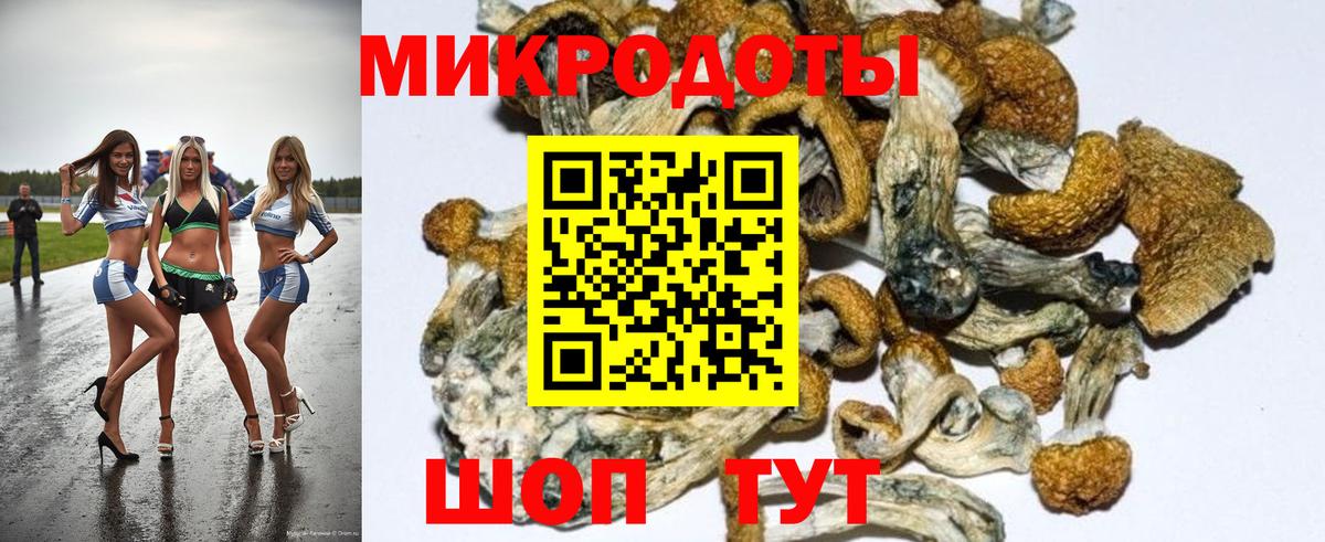 Норильск  Псилоцибиновые грибы MAGIC MUSHROOMS  Вход с VPN  Галлюциногенные грибы прущие грибы 
